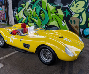 196 S Dino Replica 20