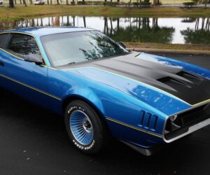 Firebird Rebody 13