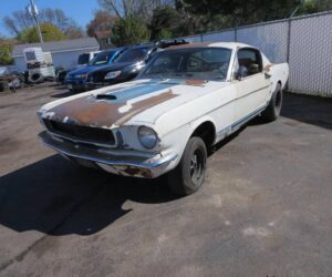 Gt350 Tribute4