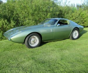 Healey Jamaican8