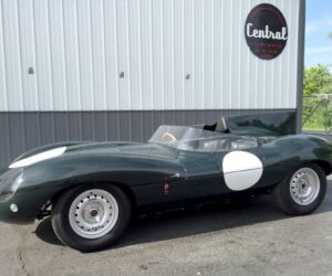 Long Nose D Type 4