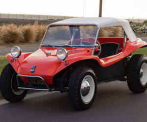 Manx Recreation 10