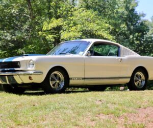 Shelby Clones 7
