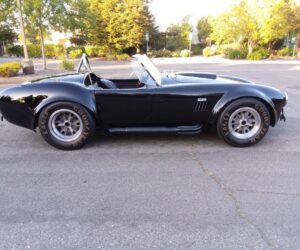 Side Oiler Cobra 8