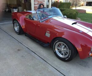 Spring Cleaning Cobras 14