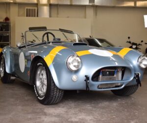 Unique 289 Cobra 14