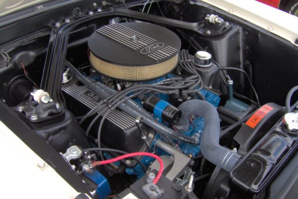 						1969 Ford Mustang 351 Cleveland
			