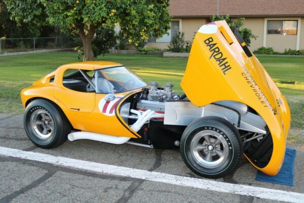 						Alan Green Cheetah8
			