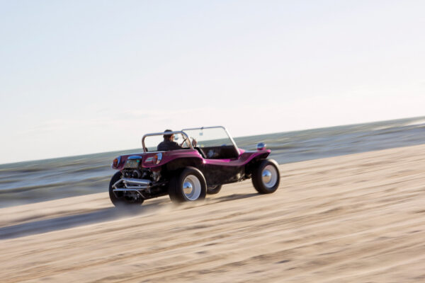 						Amelia Meyers Manx 6
			