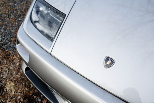 						Diablo Replica F31
			
