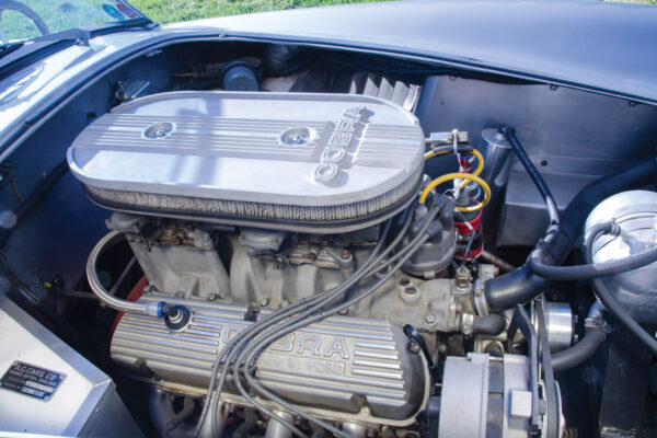 						John Custom Cobra C3
			