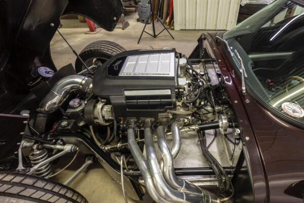 						Ls9 Cheetah 1
			