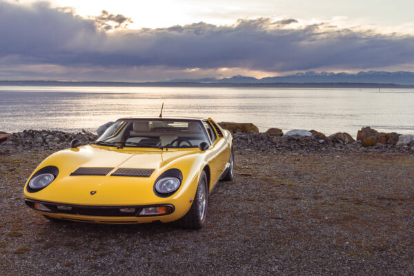 						Miura Replica D11
			