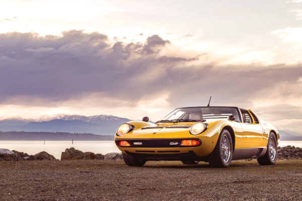 						Miura Replica D14
			