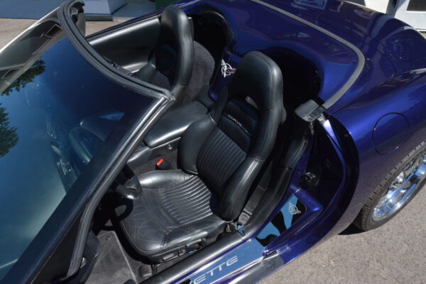 						Mr  Vette 19
			