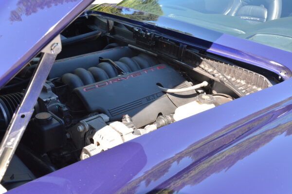 						Mr  Vette 3
			