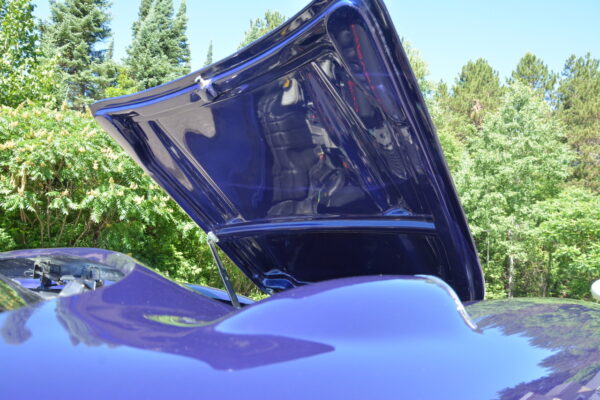 						Mr  Vette 5
			