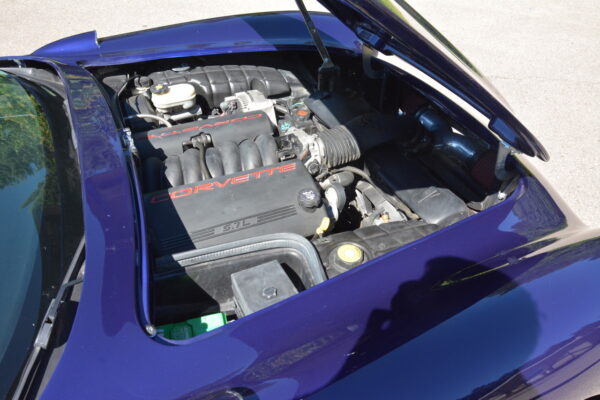 						Mr  Vette 7
			