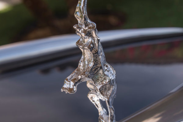 The elephant hood ornament was molded off 
an original from a Bugatti Royale.